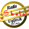 Radio Skala Ugljevik