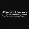 Radio Usora Izvorna